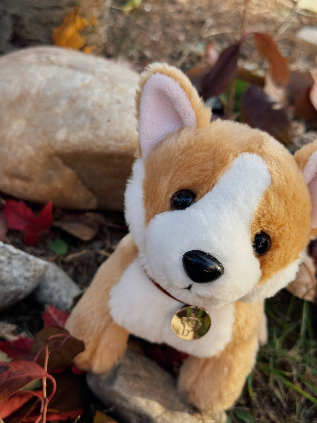 Lily the Butterscotch Corgi Dog With Collar- Puppy Plush Soft Toy: exclusive for Luxe only birthday child
