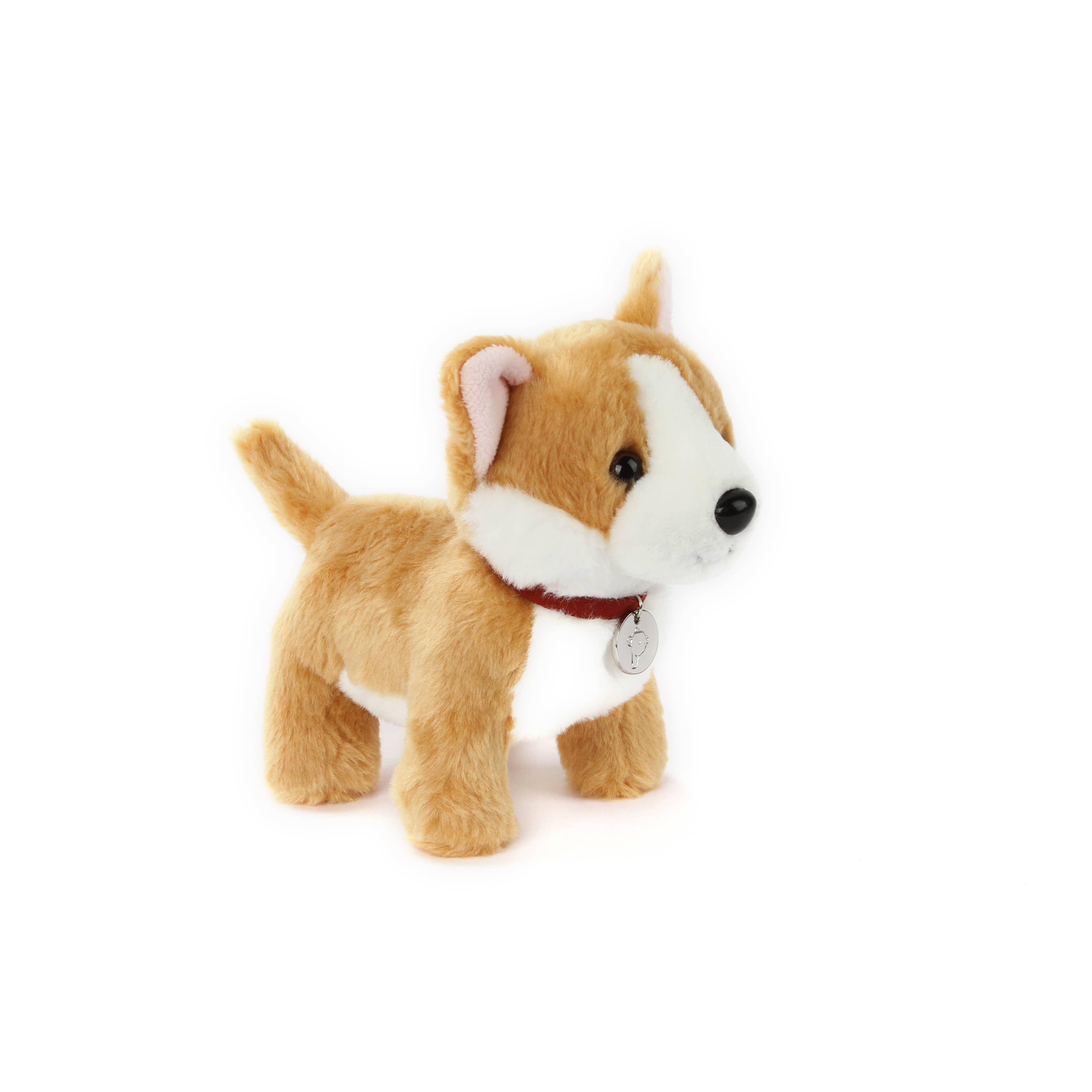 Lily the Butterscotch Corgi Dog With Collar- Puppy Plush Soft Toy: exclusive for Luxe only birthday child