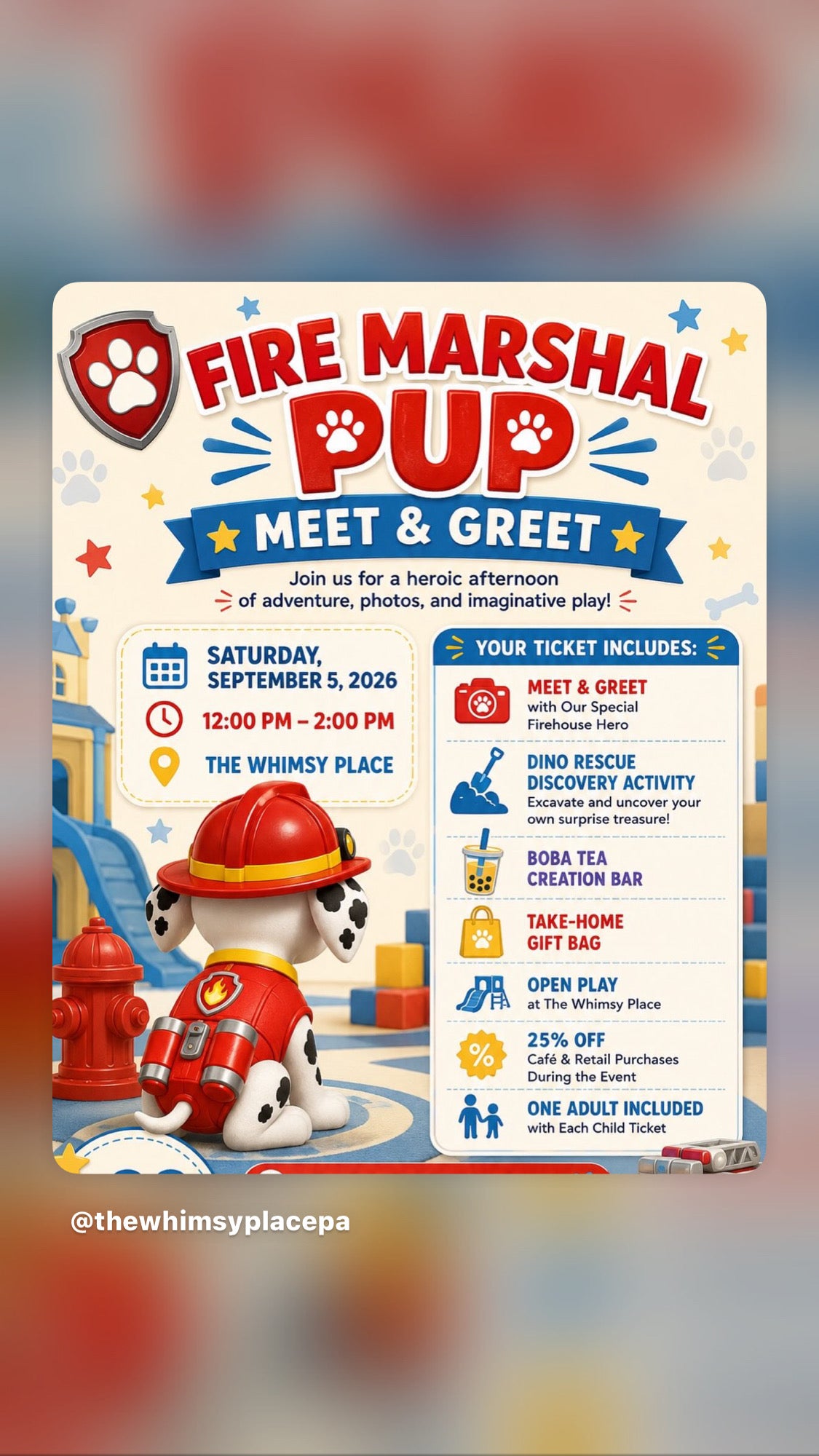 Additional single guest for Paw Patrol