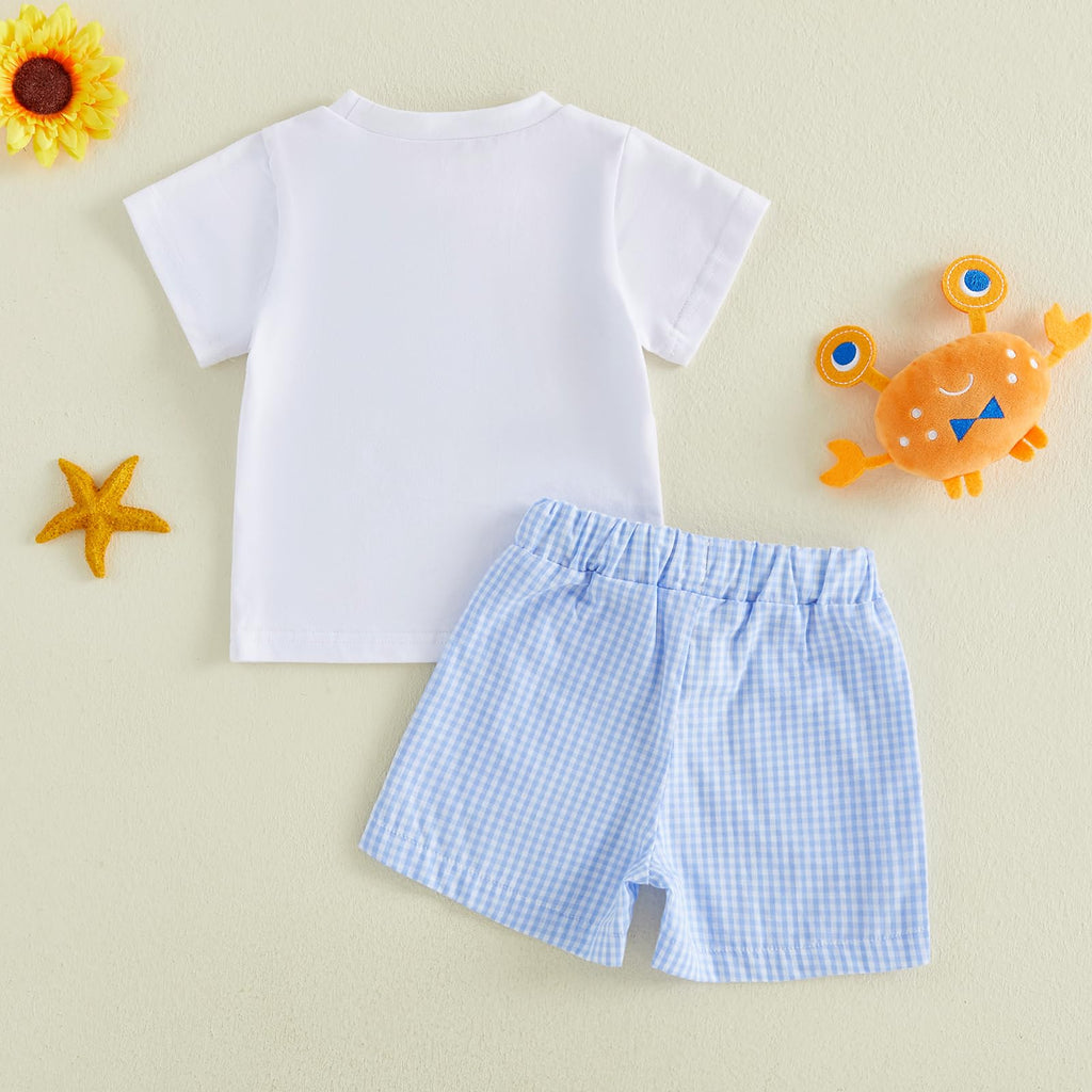 Bagilaanoe Toddler Baby Boy Short Sleeve T-Shirt+ Plaid Shorts Set Castle Embroidery Outfit Beach Clothes 2PCS Set