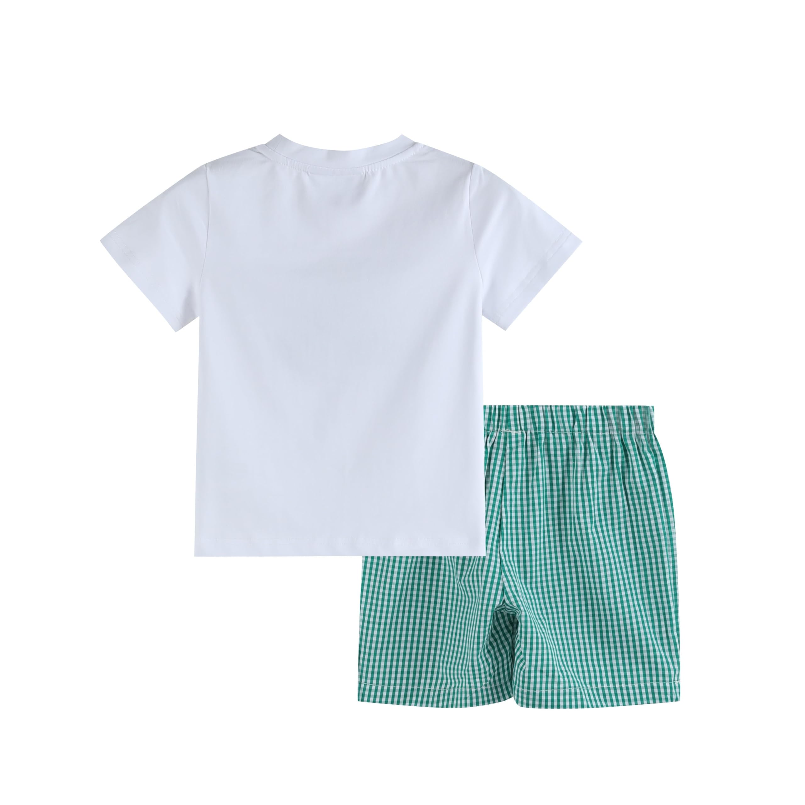 Lil cactus Boys and Toddlers Pickleball T-Shirt and Green Gingham Shorts Set