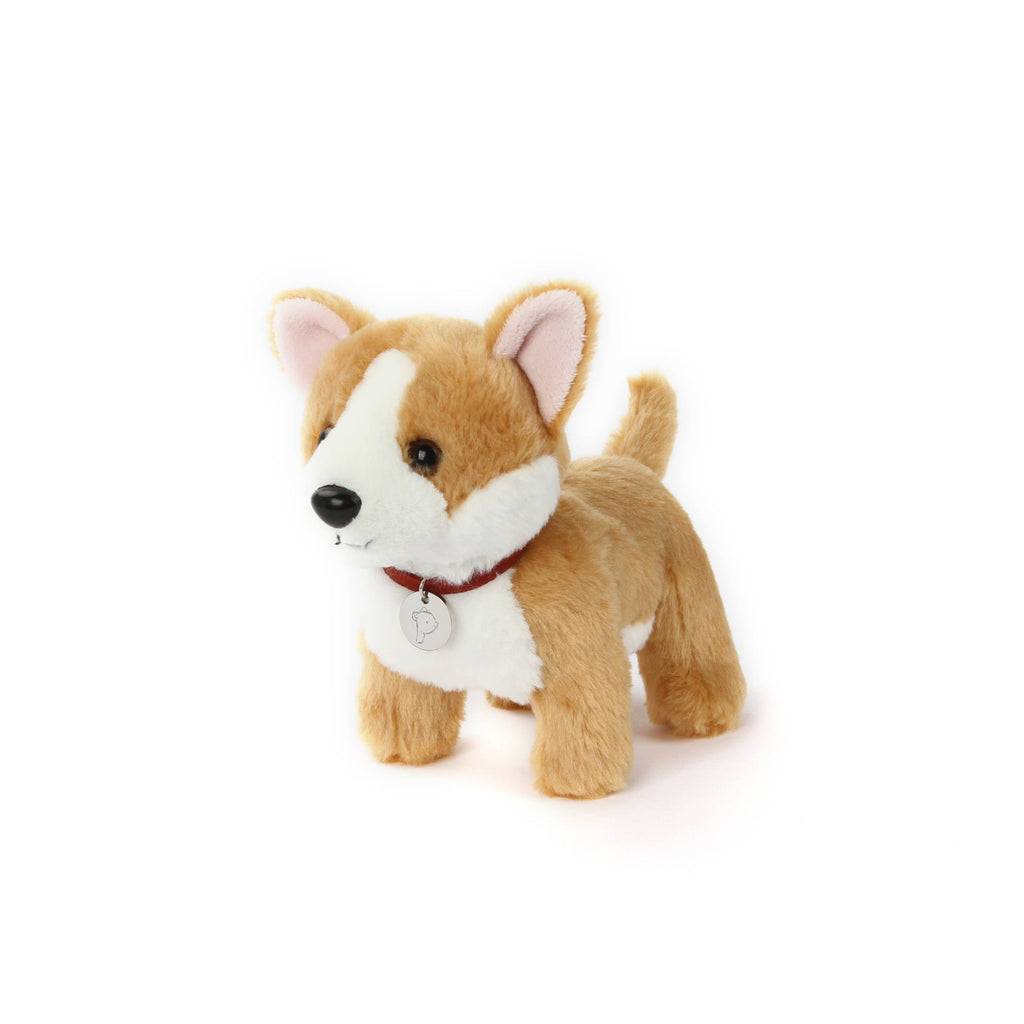 Lily the Butterscotch Corgi Dog With Collar- Puppy Plush Soft Toy: exclusive for Luxe only birthday child