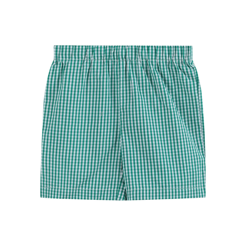 Lil cactus Boys and Toddlers Pickleball T-Shirt and Green Gingham Shorts Set