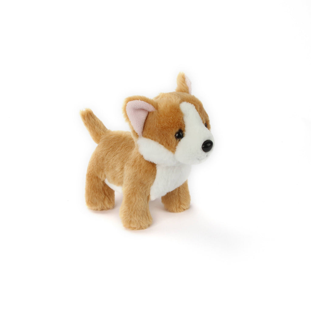 Lily the Butterscotch Corgi Dog With Collar- Puppy Plush Soft Toy: exclusive for Luxe only birthday child