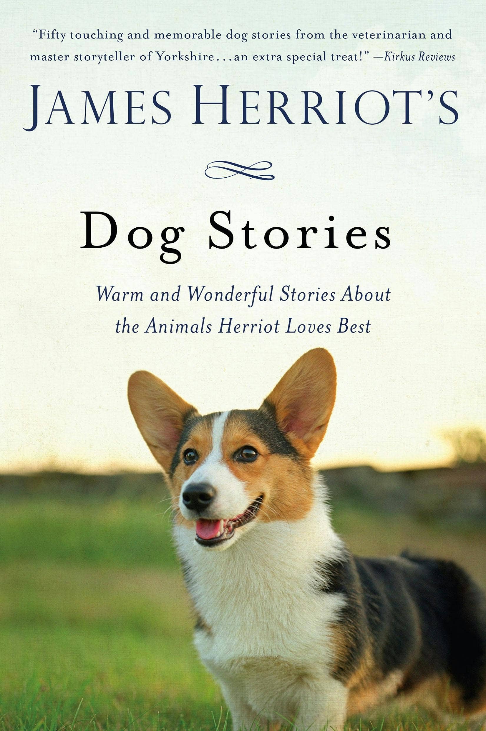 James Herriot's Warm And Wonderful Dog Stories